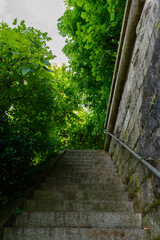 Treppe in den Wald