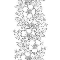 Vector seamless pattern with outline Dog rose or Rosa canina. Flower, hips and leaves on the white background. Rosehip pattern in contour style for summer design, medicine, homeopathy, coloring book.