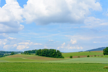 Fototapeta na wymiar Landschaft - Panorama im Sommer mit Feld und Wolken