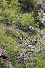 berg sofia bulgarien witoscha vitosha wandern