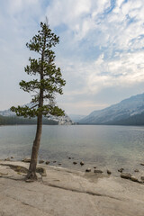 Tenaya Lake, Yosemite National Park, Mariposa County, California, USA.