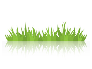 Tufts of grass with a mirror image. Natural element of design. Vector illustration.