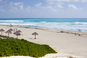 Fototapeta premium Beach side on the shores of the Caribbean ocean.