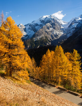 Stelvio pass and Ortles mount in autumn. Trentino Alto Adige - Alps - Italy