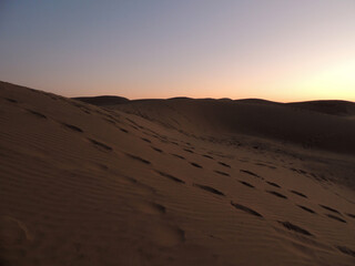 Fototapeta na wymiar spuren im wüstensand
