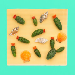 Set of Mini Cactus and seashells. Minimal art design details