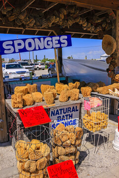 Natural sponges on sale in Tarpon Springs, Florida