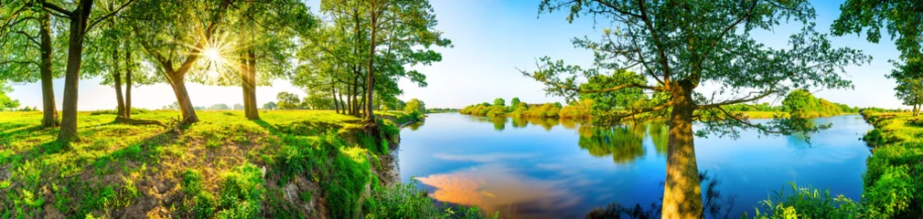 Fototapete Panoramafotos Sommerliche Landschaft mit Wiesen, Bäumen, Sonne und Fluss