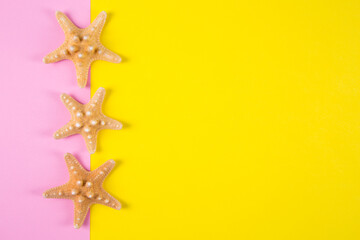 Fototapeta na wymiar Three starfishes on colored pink and yellow backgrounds with negative space, top view