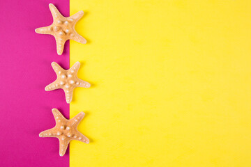 Fototapeta na wymiar Three starfishes on colored yellow and crimson backgrounds with negative space, top view.