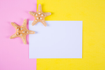 Fototapeta na wymiar Empty paper sheet with two starfishes on colored backgrounds with negative space