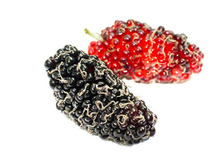 fresh organic mulberry