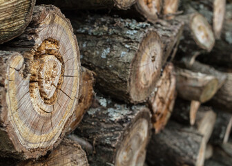 Pile of firewood. Preparation of firewood for the winter. Background