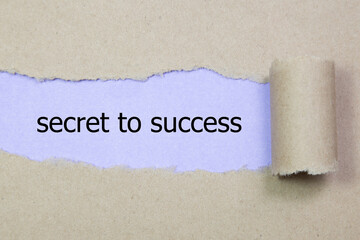 secret to success written under torn paper