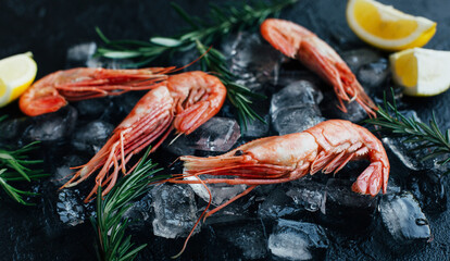 Prawns with lemon slices on ice on dark stone background