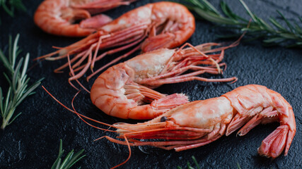 Shrimp on a dark background