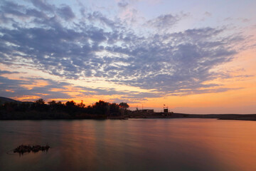 Naklejka premium Oasi WWF