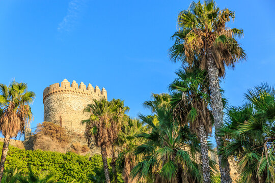 Beautiful landscape of tropical palm trees with a medieval tower in the background