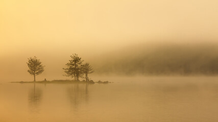 Reflection of trees from the water. Foggy sunrise.