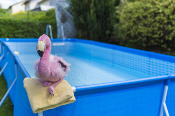 Fototapeta premium Flamingo aus Plüsch sitzt am Pool