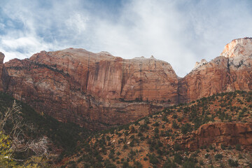 Zion National Park Landscapes
