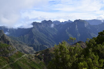 Fototapeta premium madera widok