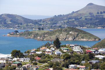 New Zealand's Suburbs