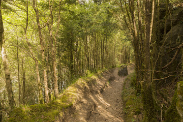 Hiking in torla ordesa, pyrenees of huesca