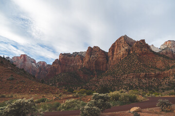 Zion National Park Landscapes