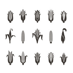 corn icon black and white. Vector illustration isolated on white background. Concept for organic products label, harvest and farming, grain, bakery, healthy food.