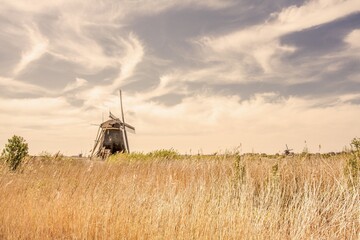 Kinderdijk Windmills Hiking Landscape scenery Netherlands