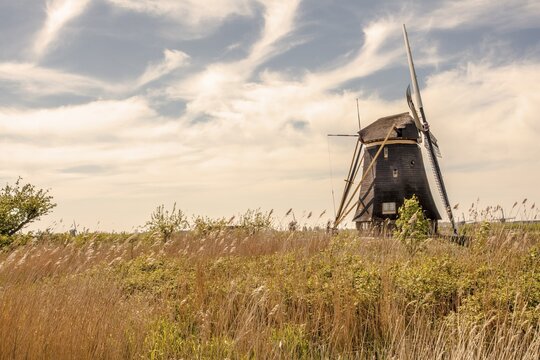 Kinderdijk Windmills Hiking Landscape scenery Netherlands
