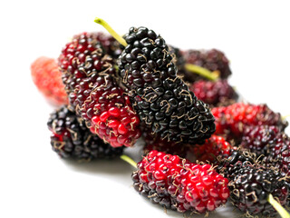 Fresh organic mulberry.