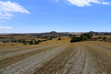 Fototapeta premium Landscape of nature round Nicosia, Cyprus 