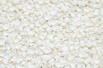 Seashells pattern texture background