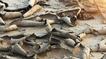 Cracked dried mud in the summer.