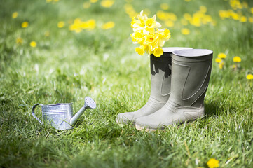Summer gardening - watering can, rubber boots and yellow flowers