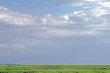spring summer landscape with green grass and blue sky.