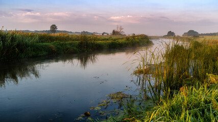 Poranek nad Narwią © podlaski49