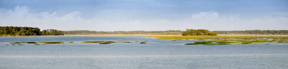 panorama of coastal estuary and forest in South Carolina
