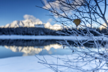 Branches covered with frost around Lake PalÃ¹ where the snowy peaks and woods are reflected Malenco Valley Lombardy Italy Europe