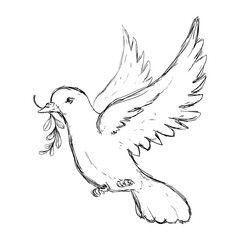 Dove the bird of peace icon vector illustration  graphic  design