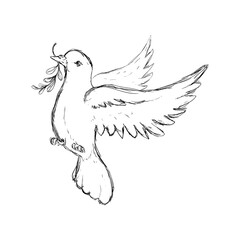 Dove the bird of peace icon vector illustration  graphic  design