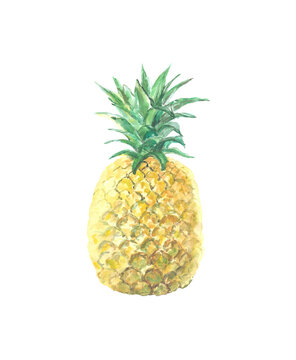 1001833 Single picture of pineapple