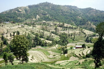 Terraces in mountain