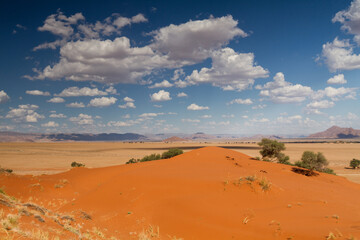 View from the top of the Elim dune