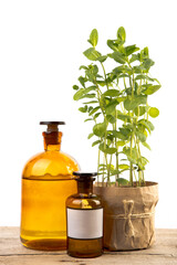 Vintage pharmacy bottles and medical herb isolated on white