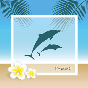 delfine fotorahmen sommerurlaub