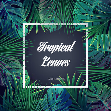 Bright tropical background with jungle plants. Exotic pattern with palm leaves.