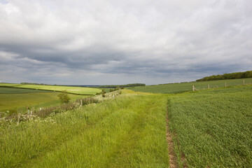 yorkshire wolds scenery